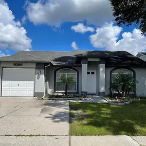 Cozy 3 Bedroom Close To Everything In Tampa! , Tampa United States